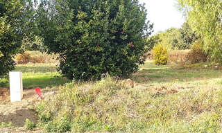 Terrain  761 m² à vendre à Plélo (22170)