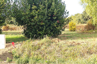 Terrain  64780 €