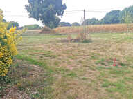 PLÉLO   SECTEUR LA CORDERIE   TERRAIN À BÂTIR DE 761 m2 — photo 2