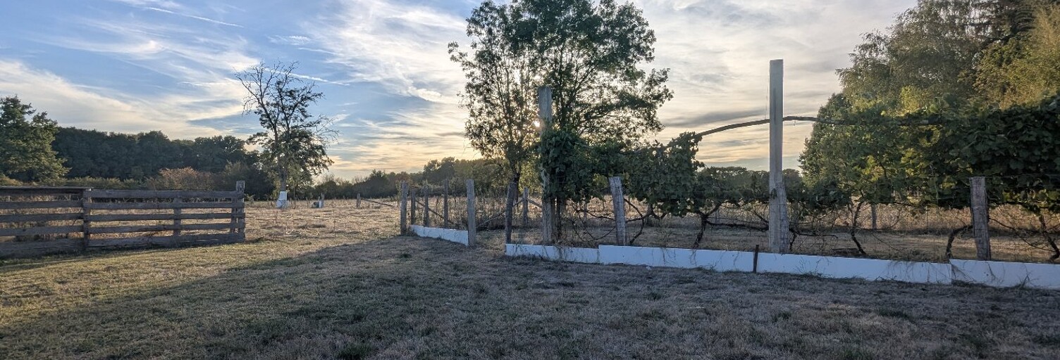 Maison 5 Pièces 134 m² à vendre à Montjay (71310)