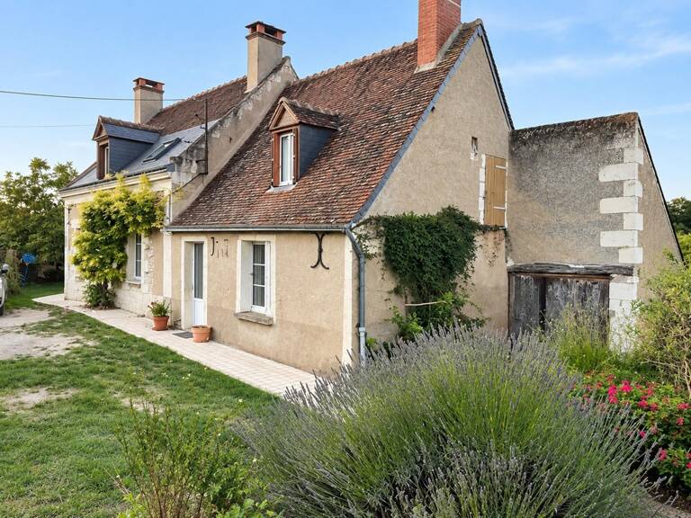 Maison — photo 1
