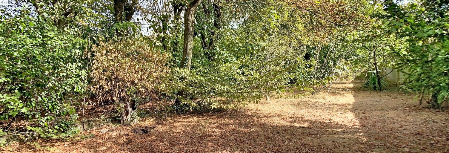 Terrain  900 m² à vendre à Le Plessis-Trévise (94420)