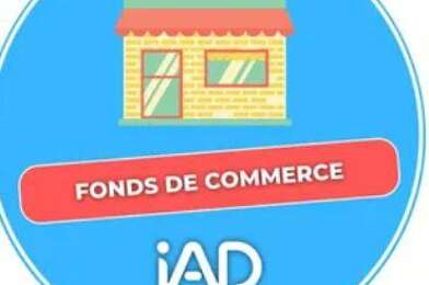 Commerce  69000 €