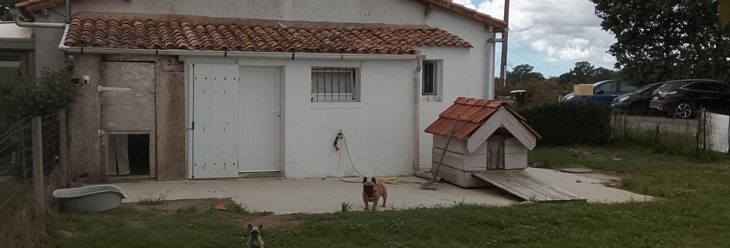 Photo N° 2