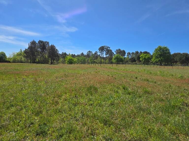 Terrain à bâtir à Saint-Savin (33920) — photo 1