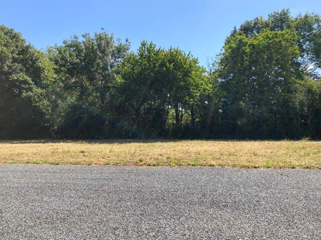 Terrain à bâtir à Saint-Vaize (17100) — photo du bien