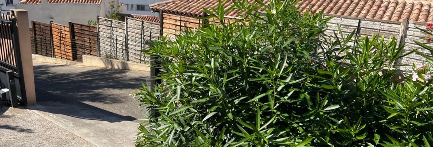 Appartement 1 Pièce 35 m² à louer à Marseille 7 (13007)
