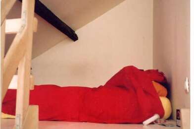 Appartement 1 pièces 990 €
