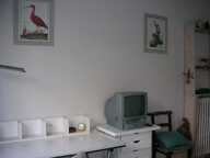 Chambre de 16m2 à louer sur Boulogne-Billancourt — photo 3