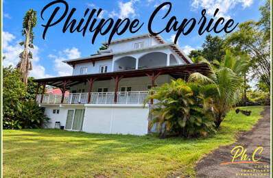 Ducos Grande Savane – Ensemble immobilier 264 m² – Fort potentiel locatif — photo du bien