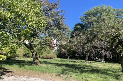 Terrain  320000 €