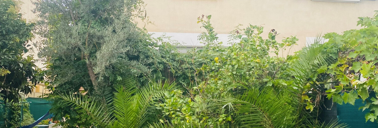 Appartement 4 Pièces 81 m² à louer à Hyères (83400)