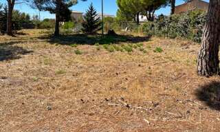 Terrain  1138 m² à vendre à Marseillan (34340)