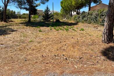 Terrain  316000 €