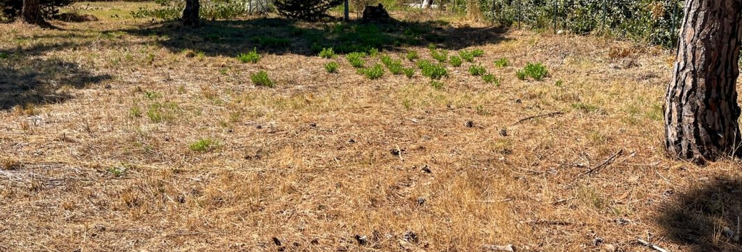 Terrain  1138 m² à vendre à Marseillan (34340)