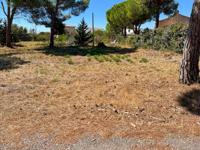 Vente grand terrain constructible à Marseillan — photo 1