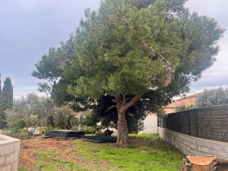Vente grand terrain constructible viabilisé à Marseillan d'environ 850 m² — photo 1