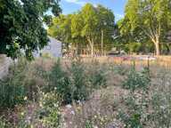 Vente terrain constructible à Marseillan d'environ 350m², non viabilisée — photo 4