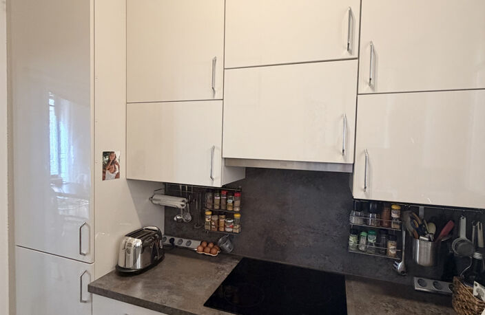 LYON 7 SAXE GAMBETTA APPARTEMENT TYPE 3 DE 50M2 CLIMATISE AV — photo 4