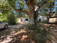 Mas de campagne à rénover - Fort potentiel à Sénas — photo 2
