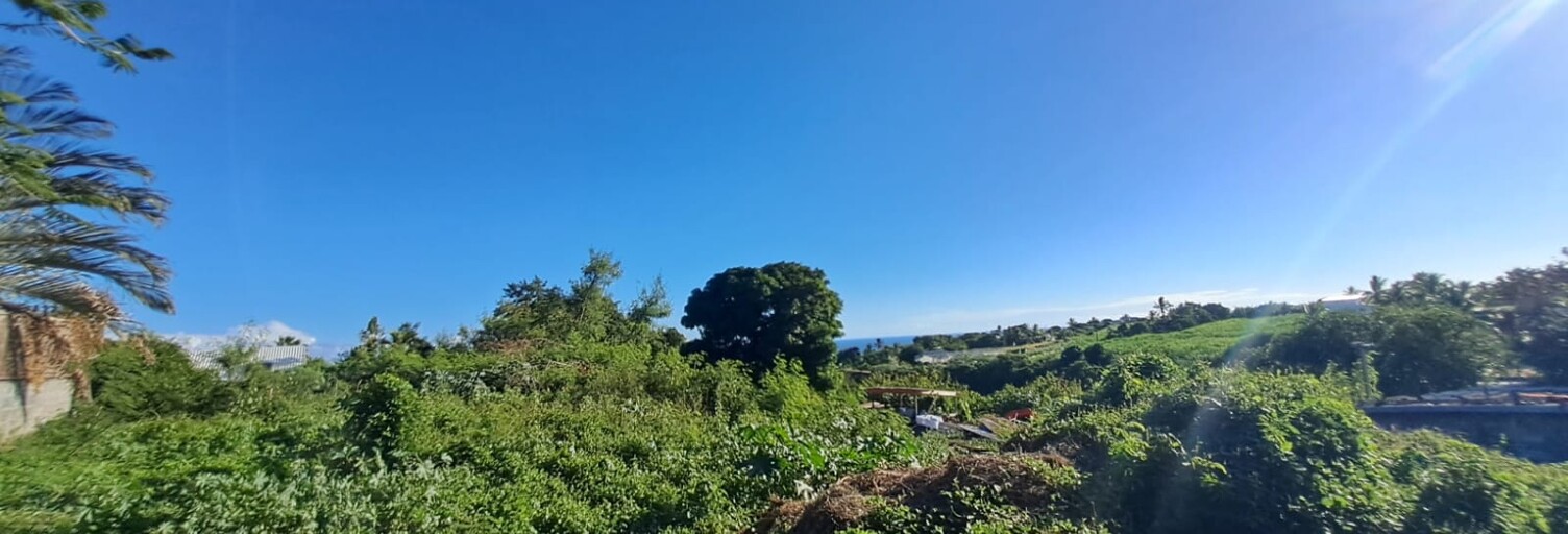 Terrain  406 m² à vendre à Saint-Pierre (97410)