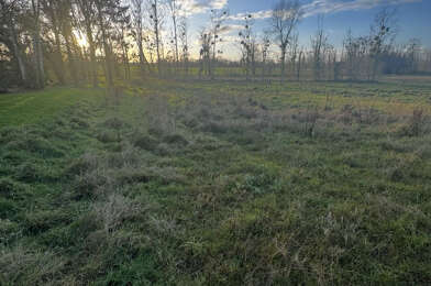 Terrain  65000 €