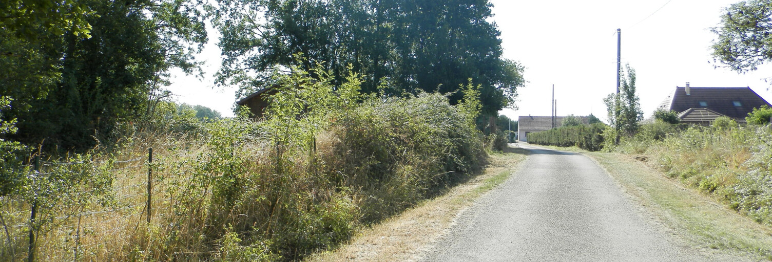 Terrain  1372 m² à vendre à Saint-Germain-du-Bois (71330)