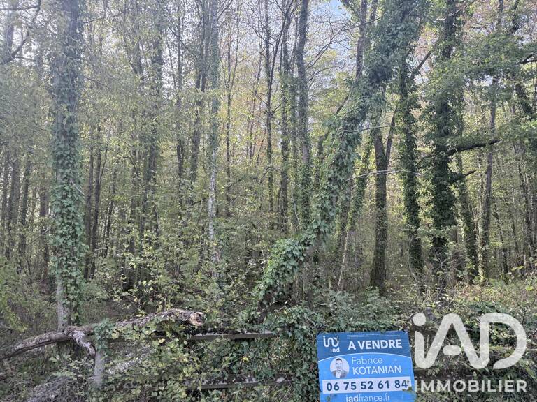 Vente Terrain à bâtir 2 362 m&sup2; — photo 1