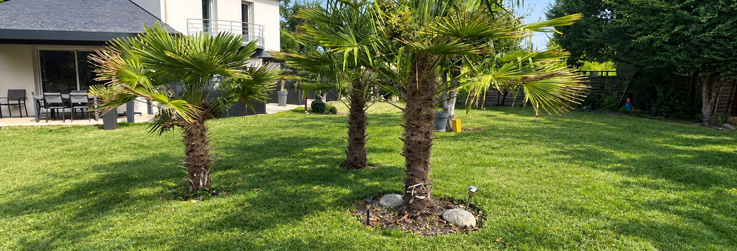 Maison 5 Pièces 125 m² à vendre à Saint-Domineuc (35190)