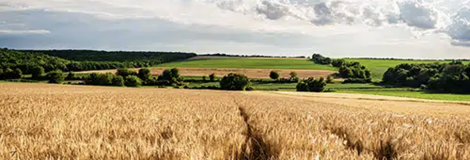 Terrain  600000 m² à vendre à Nogaro (32110)