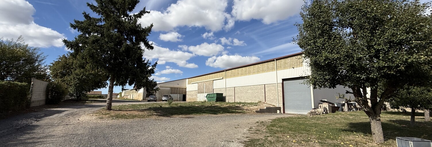 Commerce  2200 m² à vendre à Beaumont-sur-Vesle (51360)