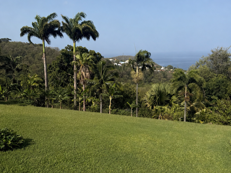 Vente Terrain à bâtir 2 299 m&sup2; — photo 1