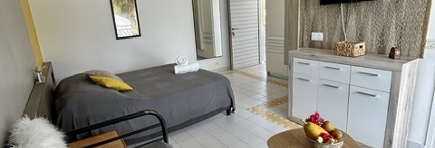 Appartement 1 Pièce 25 m² à vendre à Saint-François (97118)