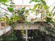 PATIO VERDE — photo 3