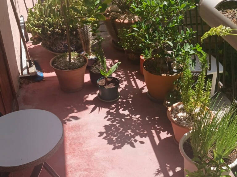 Appartement T3 de 45.12M² avec balcon et jardin 6m², Carnoules — photo 1