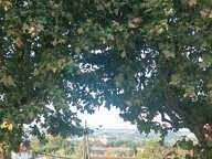 APPARTEMENT DE 46 M2 DE TYPE 2 CASTELNAUDARY QUARTIER CALME AVEC PARKING PUBLIC GRATUIT EN FACE DU LOGEMENT.LI — photo 4