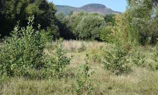 Terrain   m² à vendre à Saint-Maximin-la-Sainte-Baume (83470)