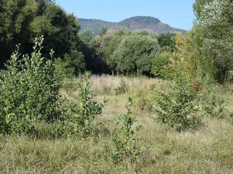 TERRAIN AGRICOLE A ST MAXIMIN  DE 3850m² — photo 1