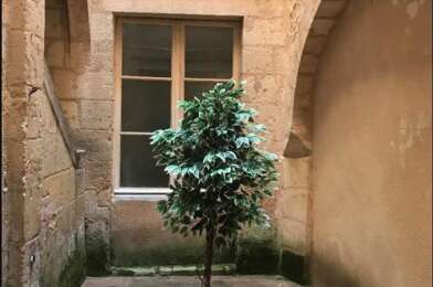 Appartement 1 pièces 690 €