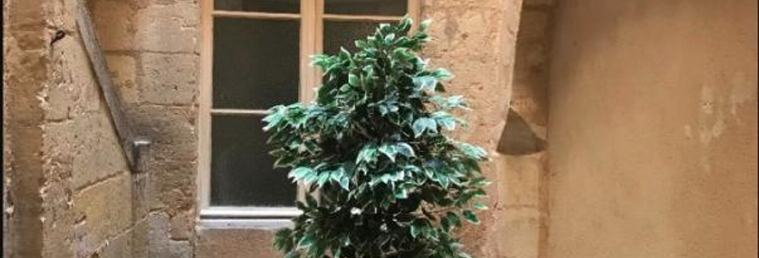 Appartement 1 Pièce 22 m² à louer à Bordeaux (33000)