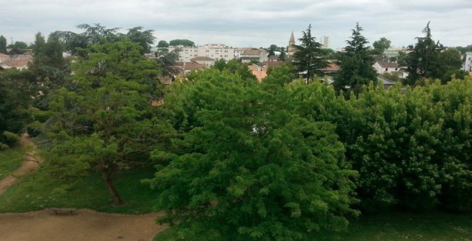 T4 — photo 1