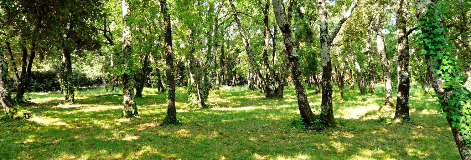Terrain  600 m² à vendre à Uzès (30700)