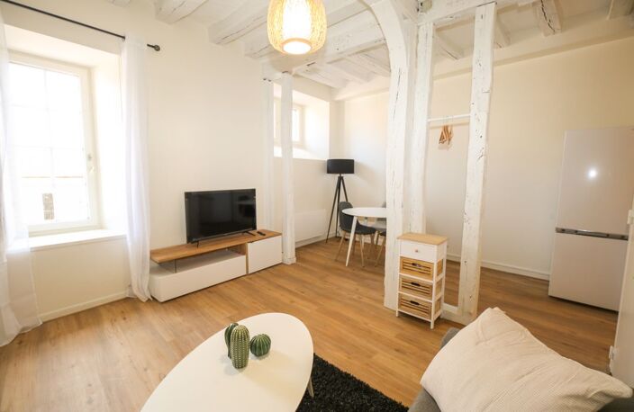 Appartement de 49m2 à louer sur Vierzon — photo 2