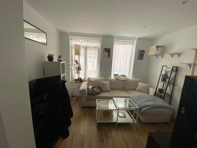 Studio de 30m2 à louer sur La Madeleine — photo du bien
