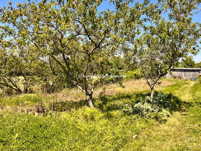 Terrain à vendre  SAINT MARD (17)Grand terrain constructible de 2075 m² – Environnement calme avec arbres fruitier — photo du bien
