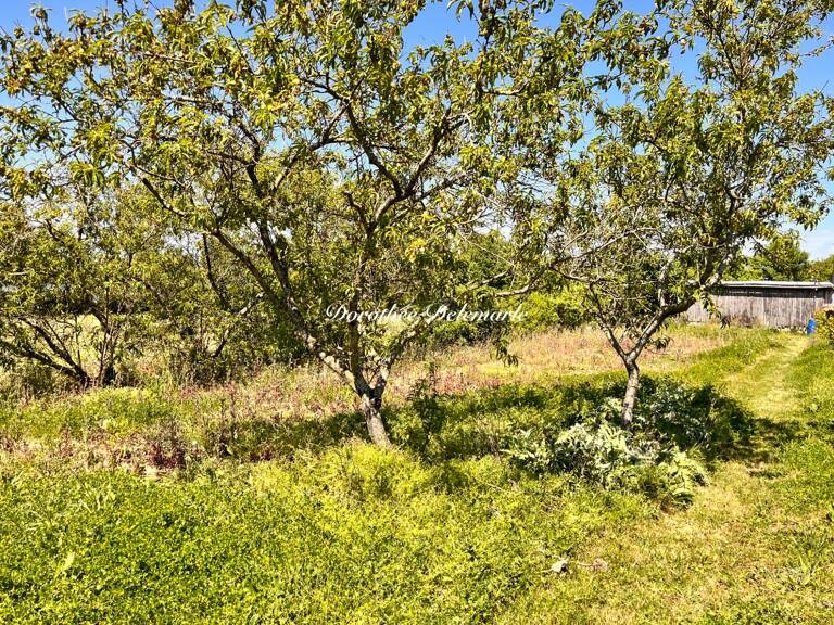 Terrain à vendre  SAINT MARD (17)Grand terrain constructible de 2075 m² – Environnement calme avec arbres fruitier — photo 1