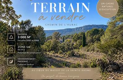 Terrain à vendre 3000 m2 PLAN D'AUPS SAINTE BAUME (83) — photo du bien
