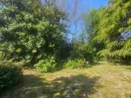 Maison au calme sur 3300 m2 de terrain arboré — photo 4