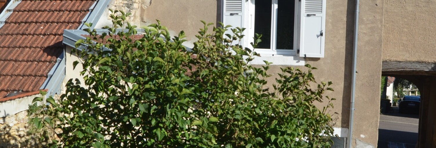 Photo N° 2
