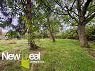 ENSEMBLE IMMOBILIER / MAISON HANGAR ET GARAGES / BEUVRY LA FORET — photo 4